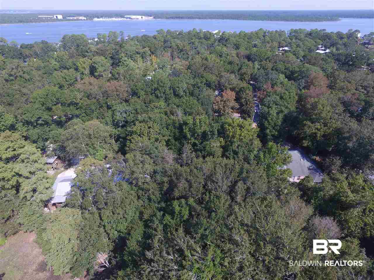 0 Lake Road Orange Beach, AL 36561 - Photo 8 of 8 Aerial View to the North