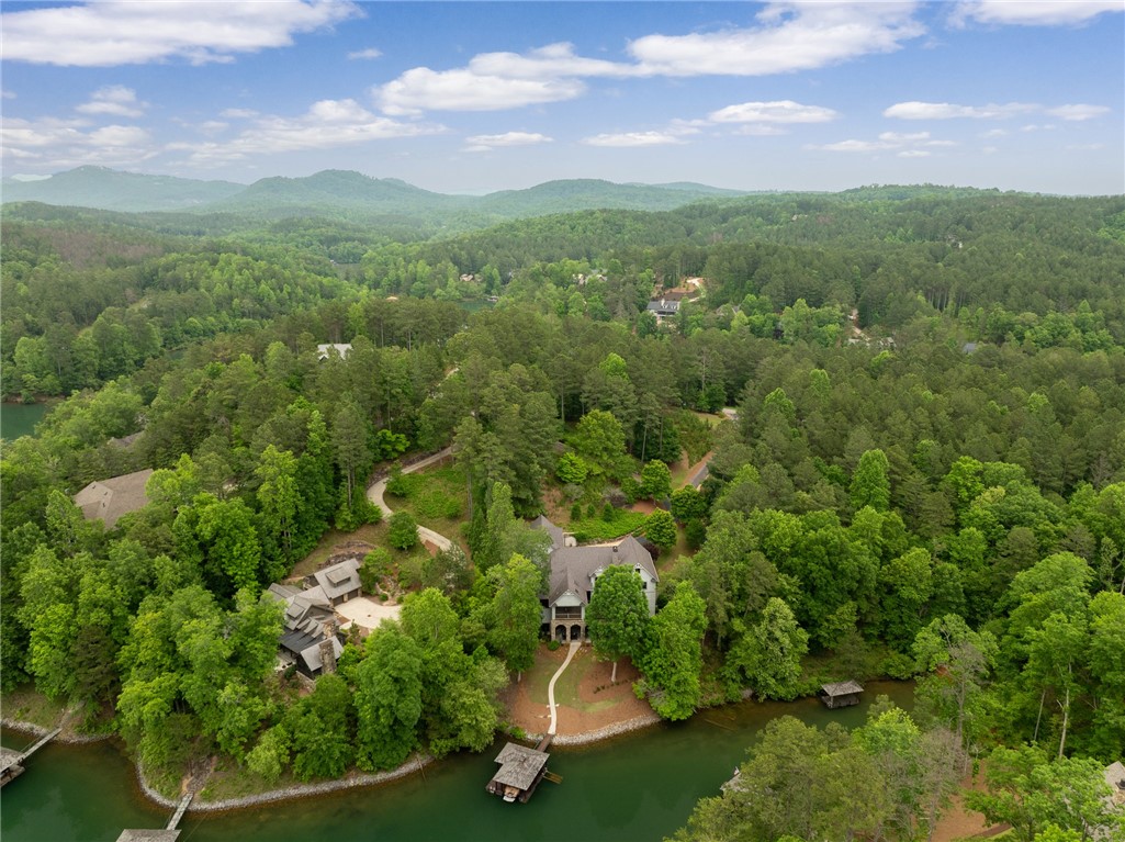 264 Featherstone Drive Sunset, SC 29685 - Photo 48 of 50