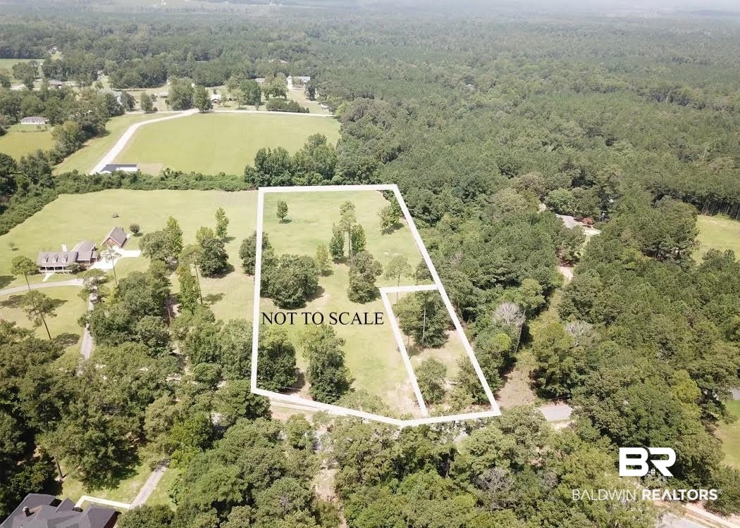 0 Old Castleberry Road Brewton, AL 36426 - Photo 9 of 9 Drone / aerial view