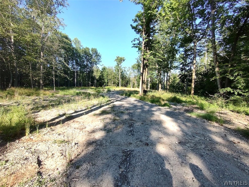 Beach Road, Unit 207 Evans, NY 14006 - Photo 2 of 10