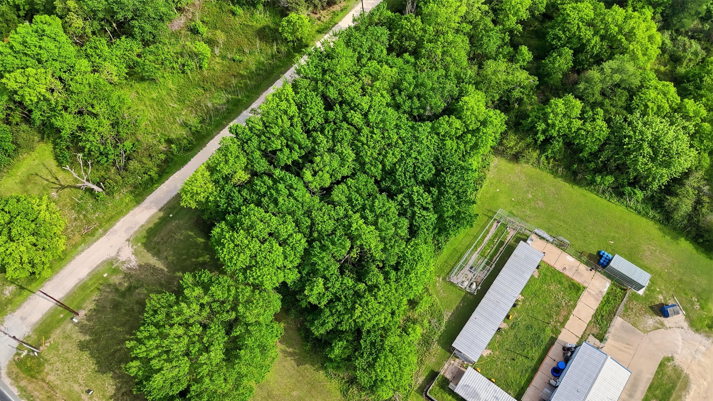 515 Off Spur Navasota, TX 77868 - Photo 10 of 13 a view of a yard with plants
