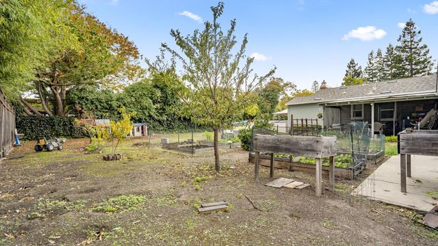 a view of a plants with yard