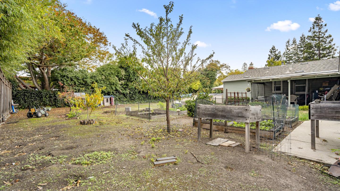 2262 Louis Road Palo Alto, CA 94303 - Photo 34 of 40 a view of a house with backyard and a tree