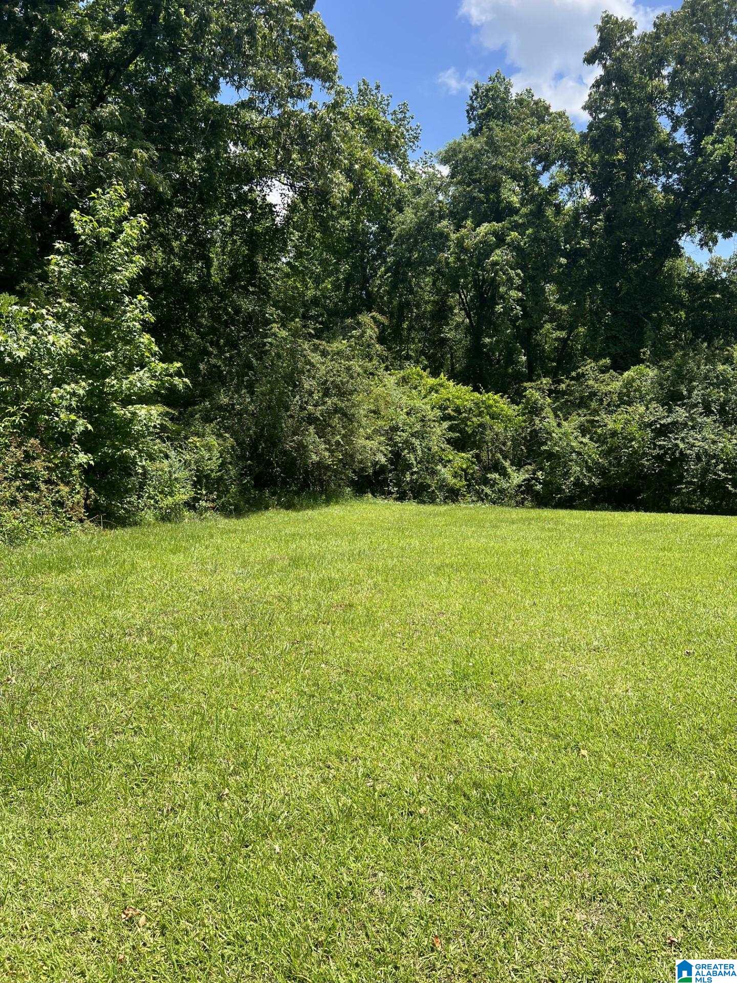 911 County Road 478, Unit 1 Clanton, AL 35046 - Photo 6 of 12