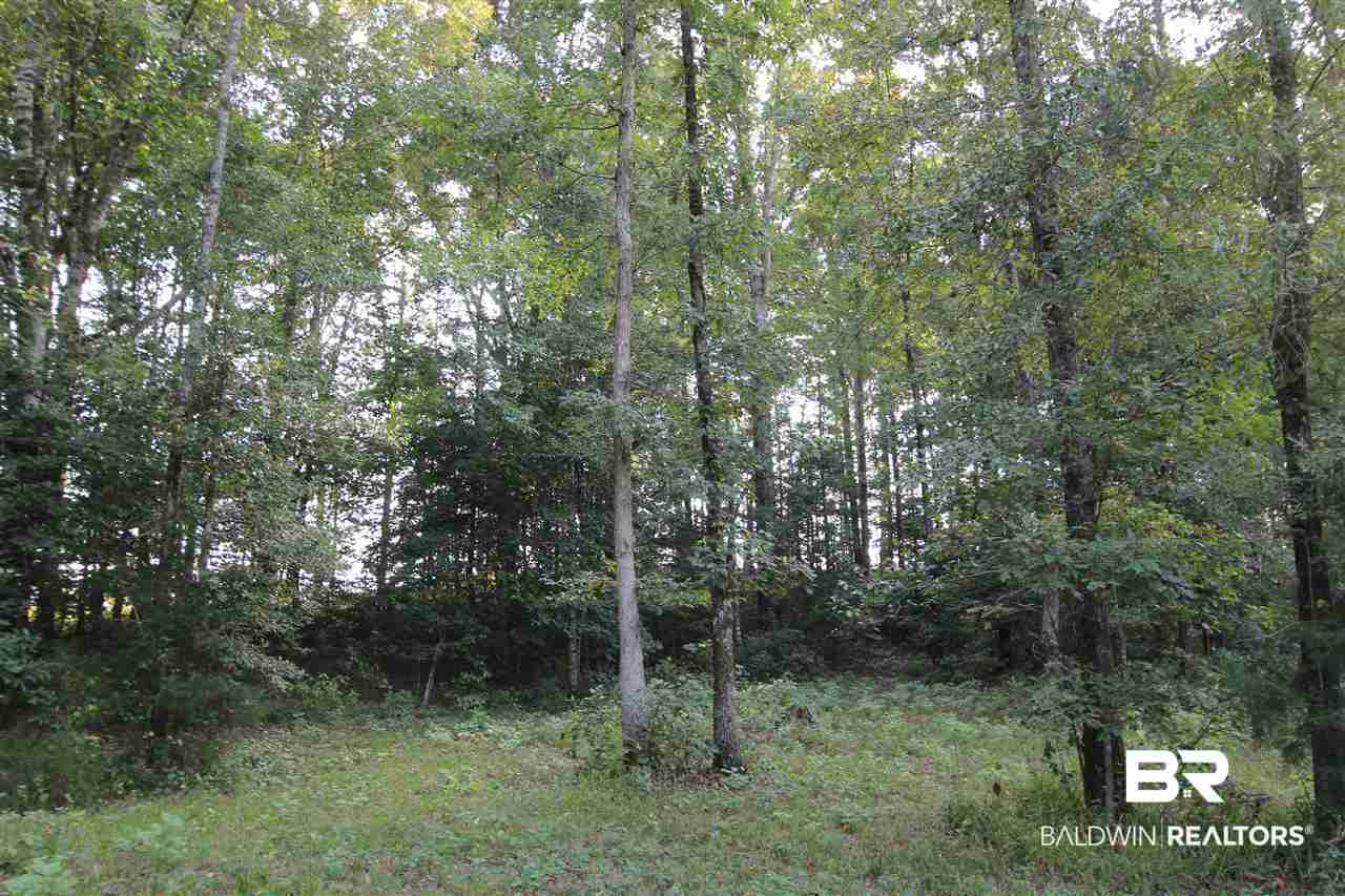 794 Dry Lake Road Luverne, AL 36049 - Photo 41 of 48 Hardwoods