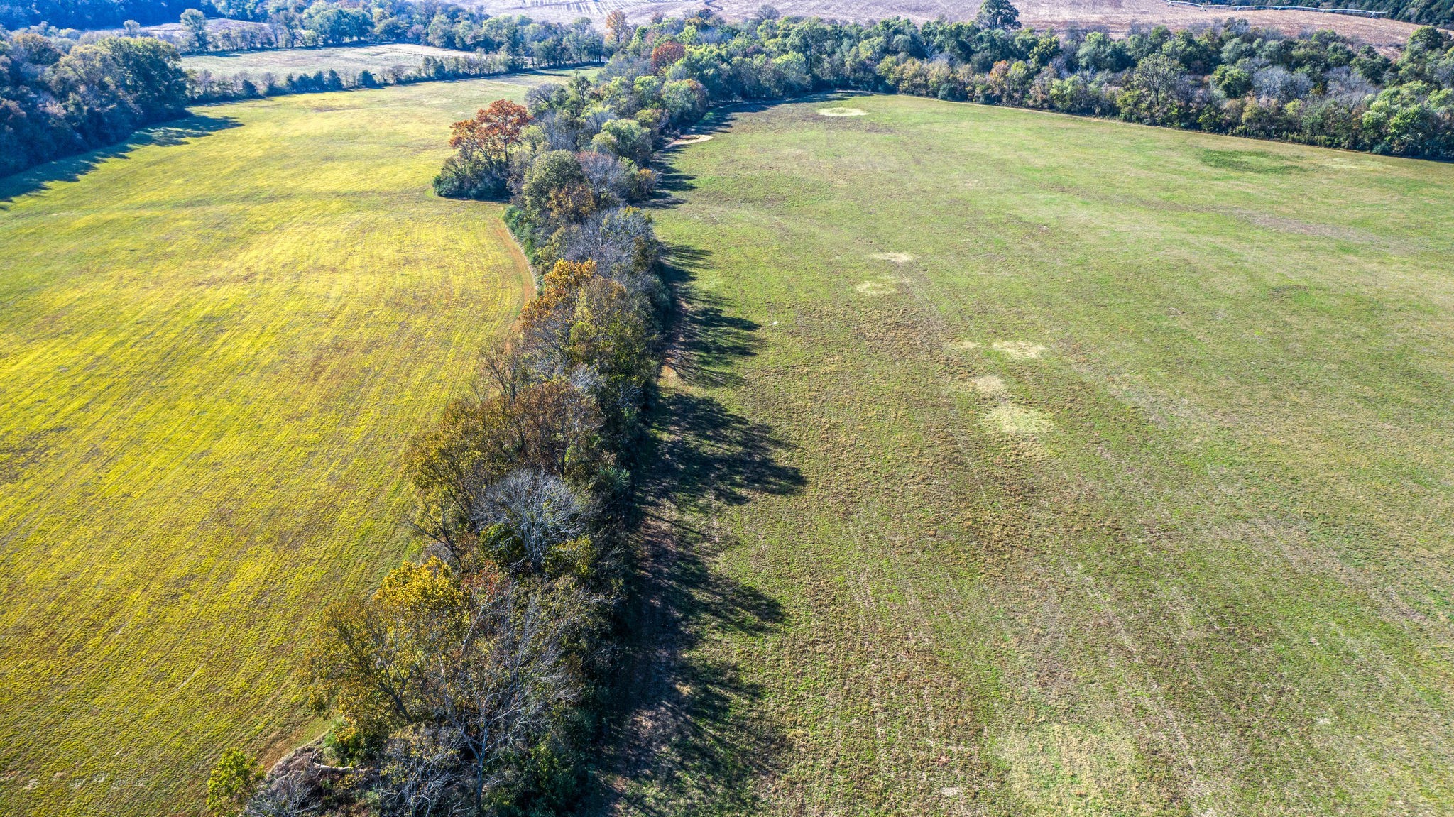 97 Meeting House Road Ardmore, TN 38449 - Photo 13 of 45 Gallery Image 13