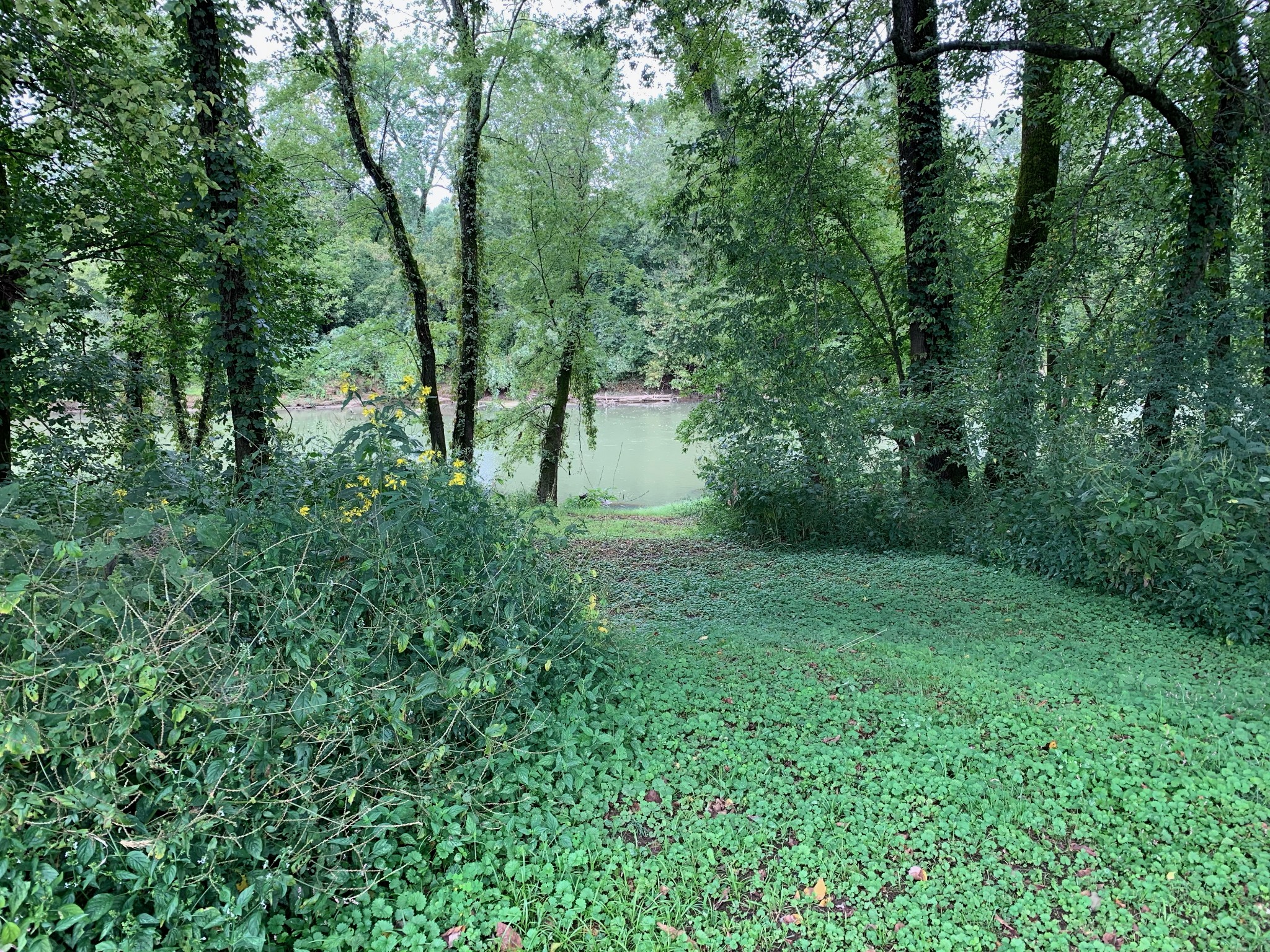 97 Meeting House Road Ardmore, TN 38449 - Photo 3 of 45 Gallery Image 3