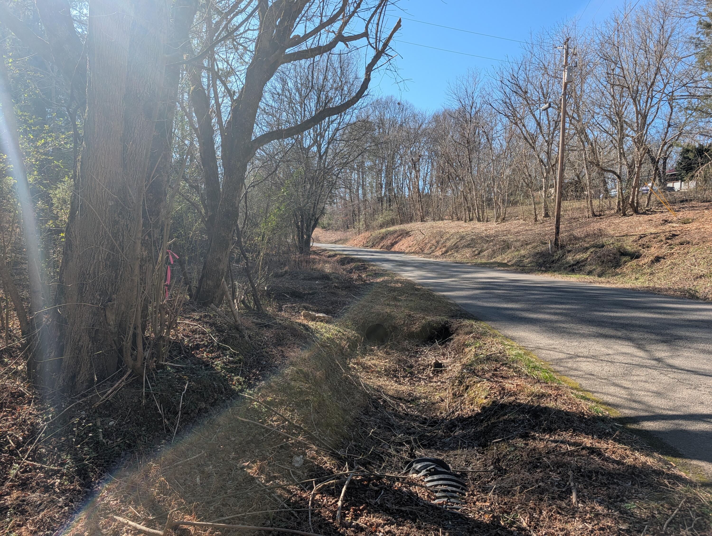 1902 Horner Hollow Road Birchwood, TN 37308 - Photo 12 of 50 PXL_20260118_173555430