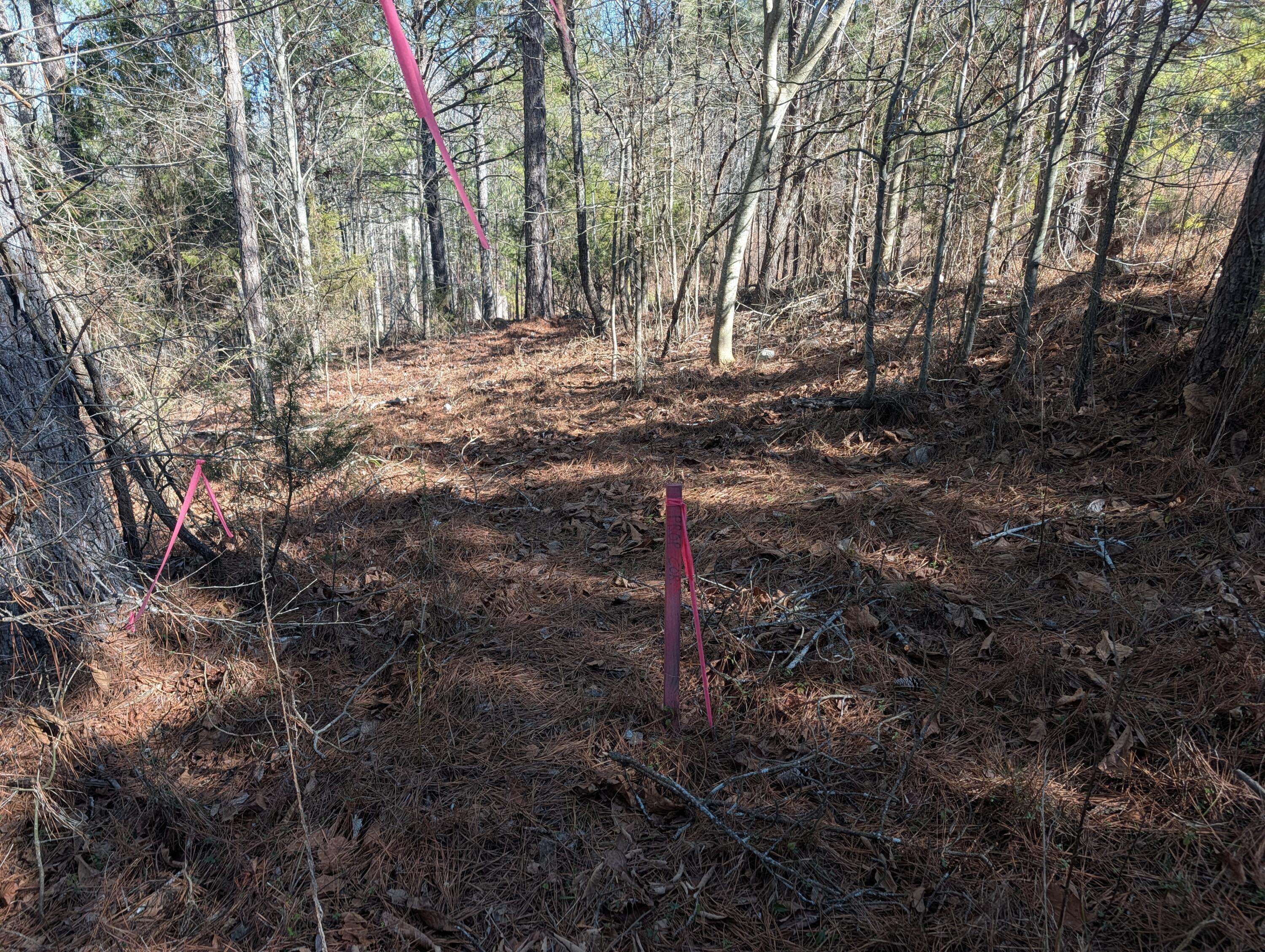 1902 Horner Hollow Road Birchwood, TN 37308 - Photo 14 of 50 PXL_20260118_173740401