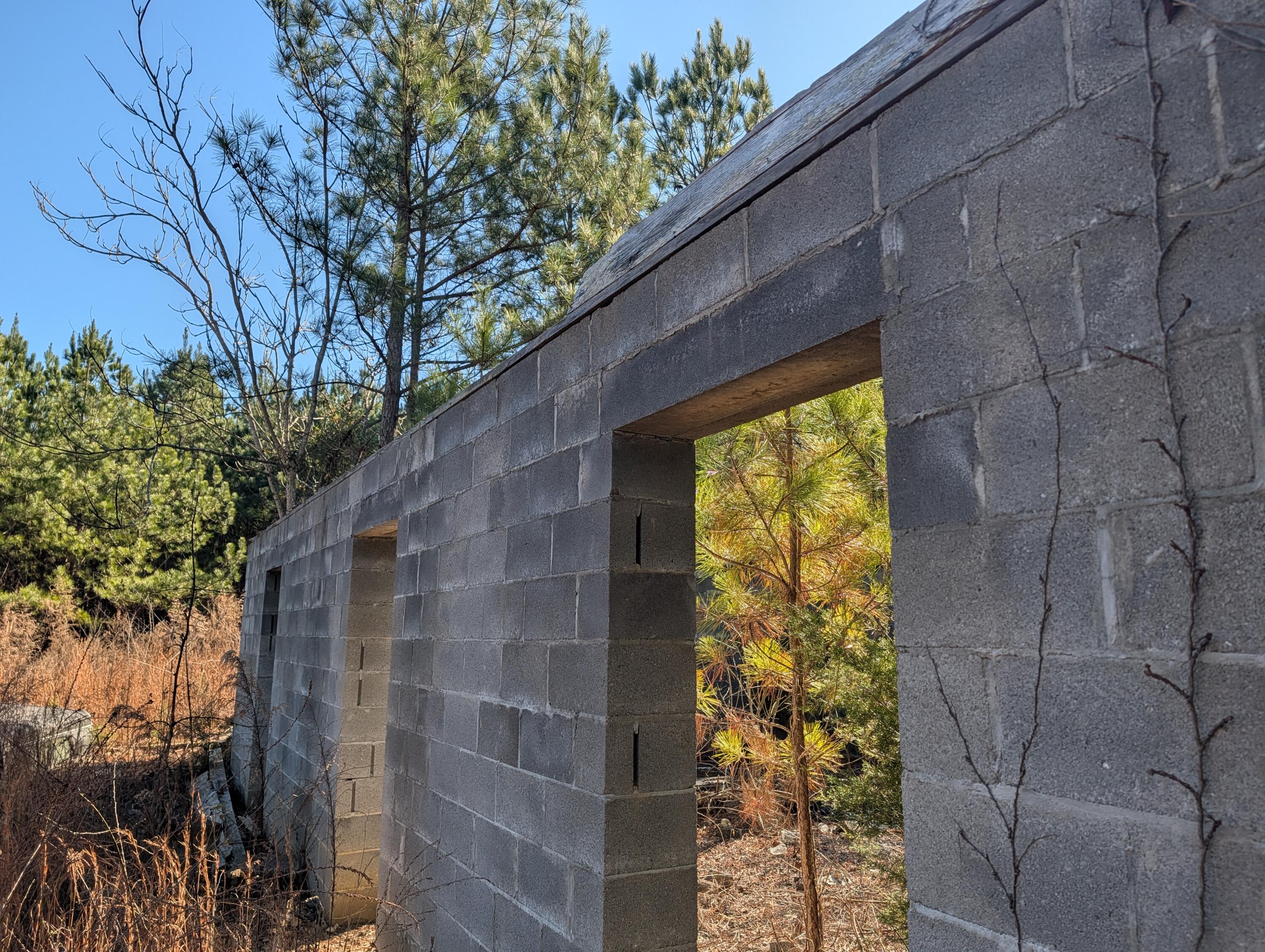 1902 Horner Hollow Road Birchwood, TN 37308 - Photo 16 of 50 PXL_20260118_173818777