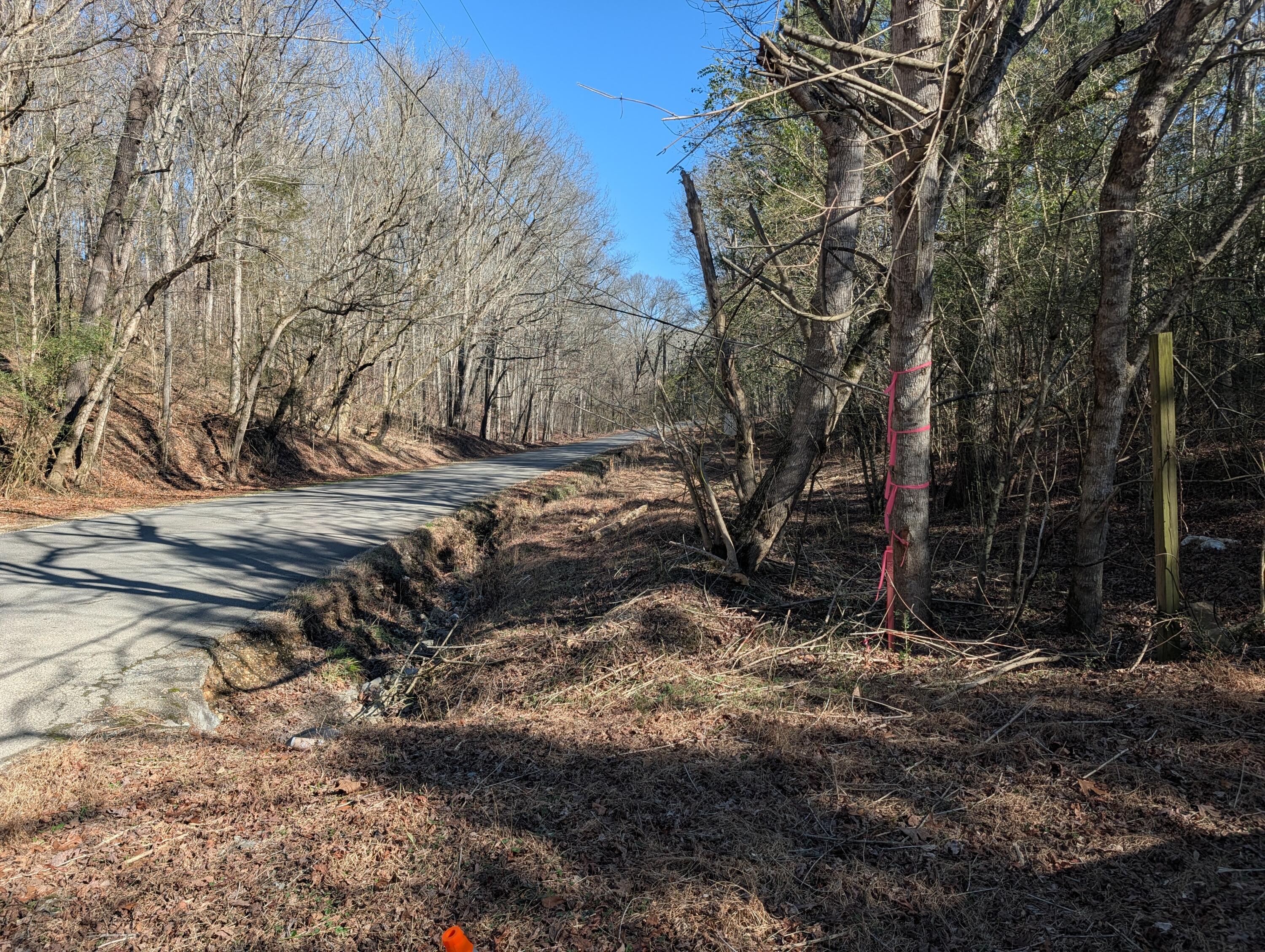 1902 Horner Hollow Road Birchwood, TN 37308 - Photo 18 of 50 PXL_20260118_173557957