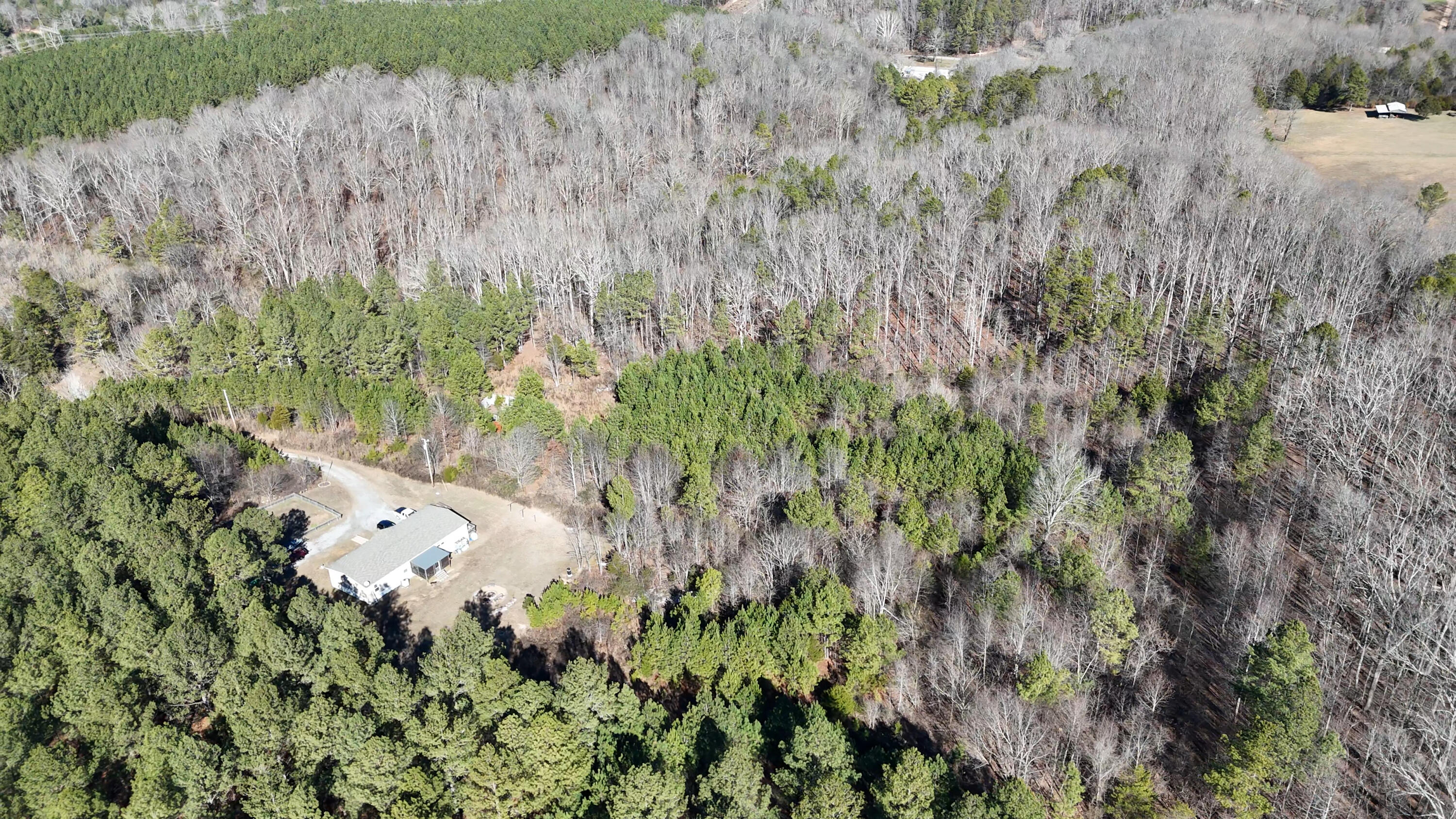 1902 Horner Hollow Road Birchwood, TN 37308 - Photo 23 of 50 NW_Close