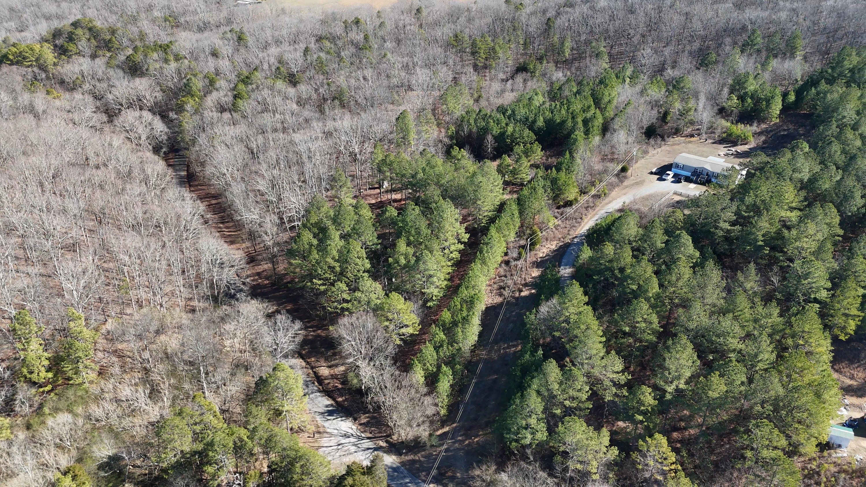 1902 Horner Hollow Road Birchwood, TN 37308 - Photo 30 of 50 NE_Close