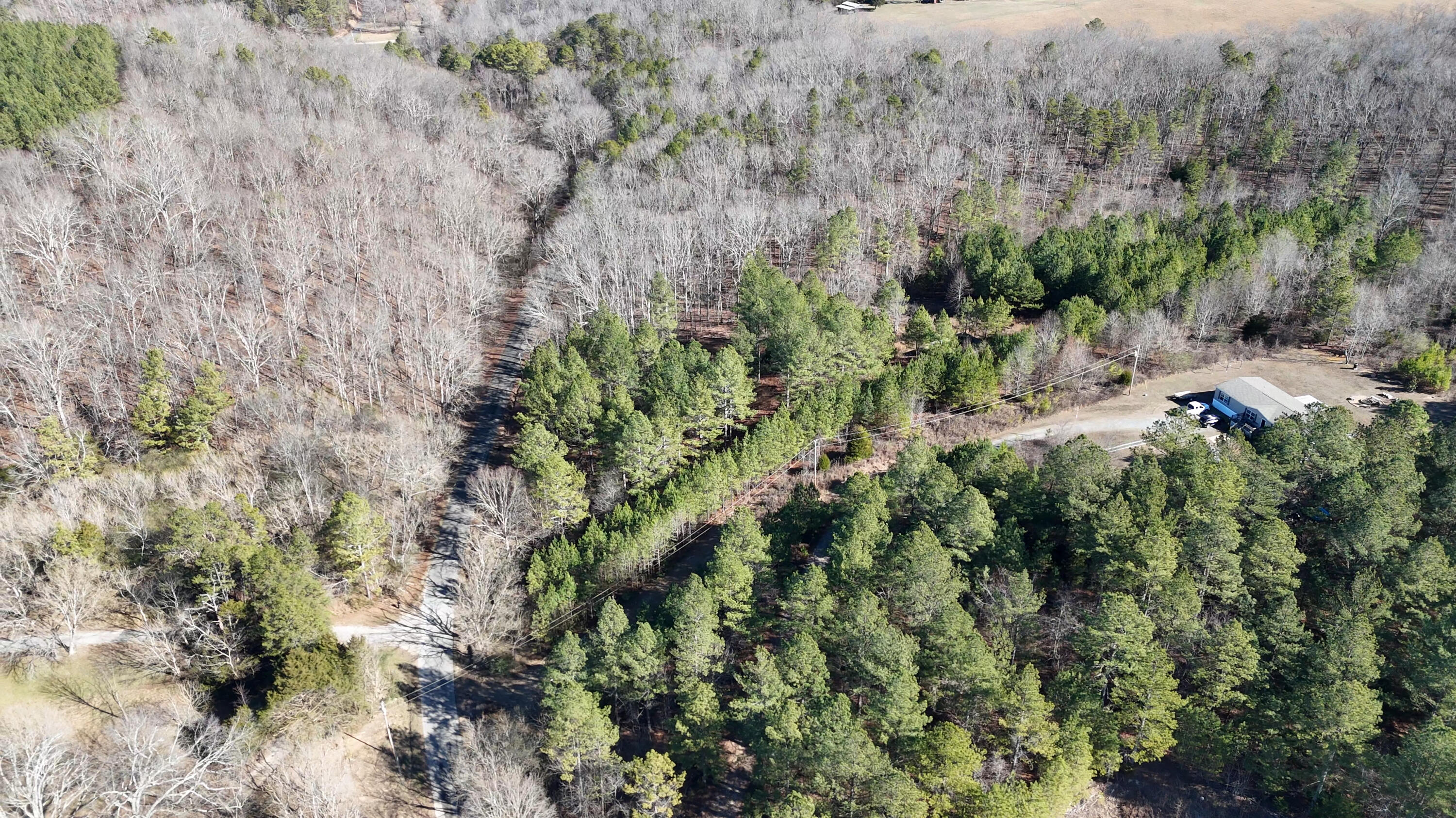 1902 Horner Hollow Road Birchwood, TN 37308 - Photo 32 of 50 North_Close