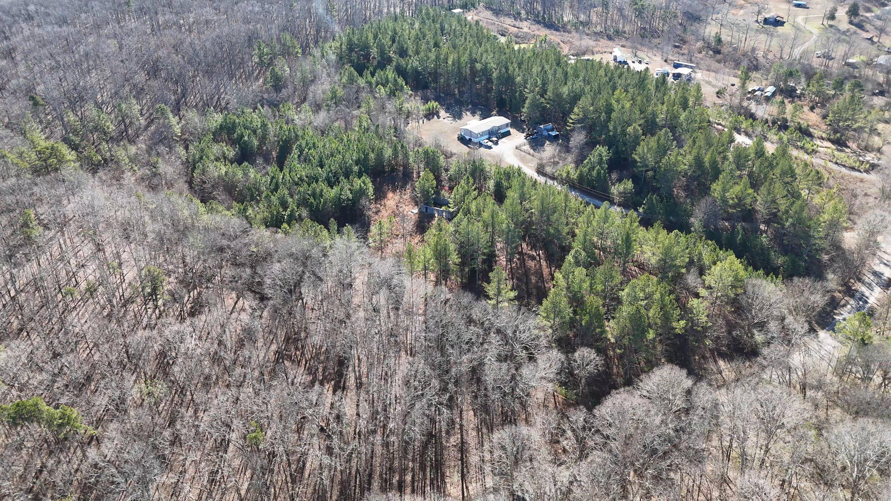 1902 Horner Hollow Road Birchwood, TN 37308 - Photo 35 of 50 South_Close