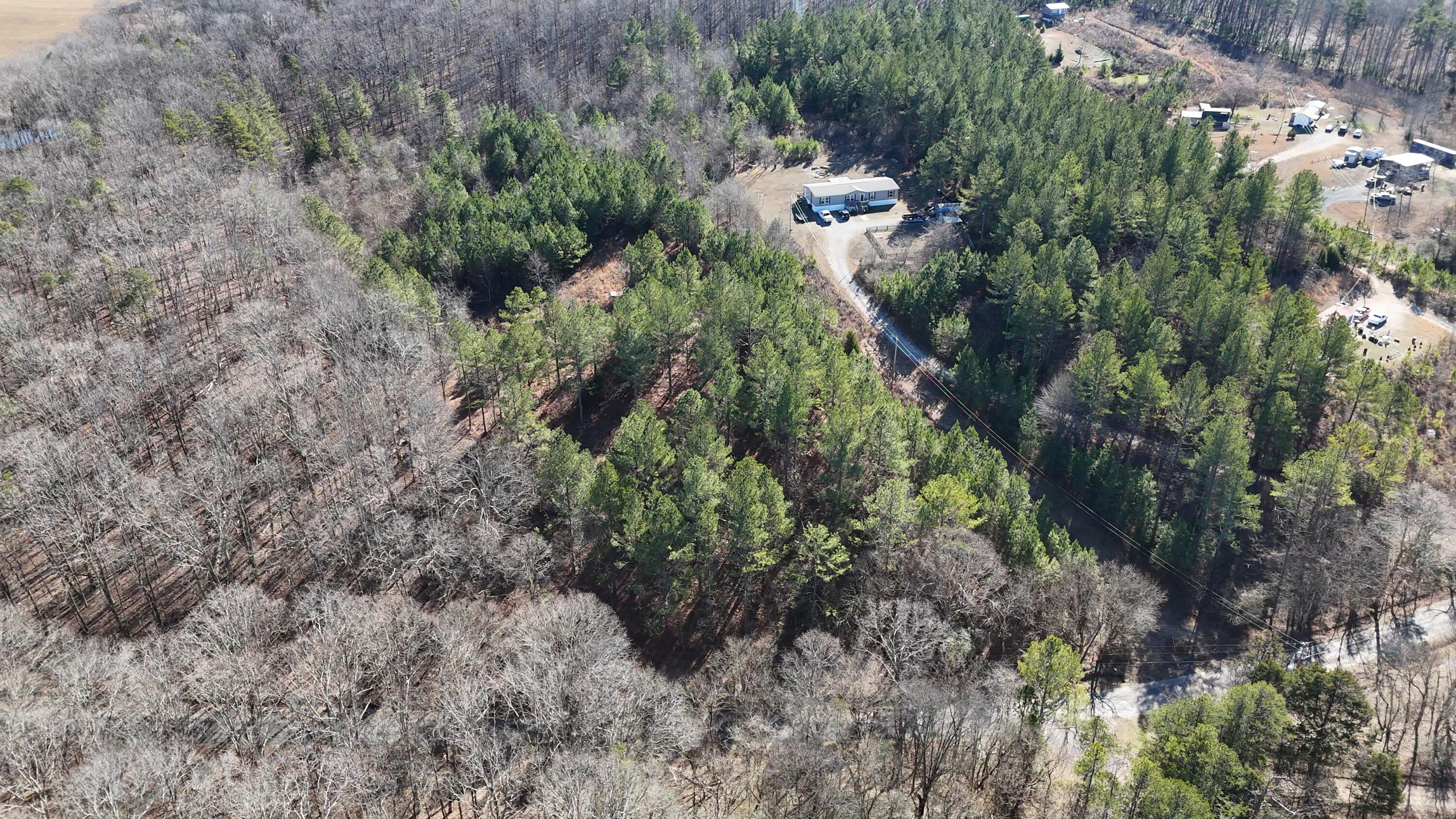 1902 Horner Hollow Road Birchwood, TN 37308 - Photo 40 of 50 SE_Close