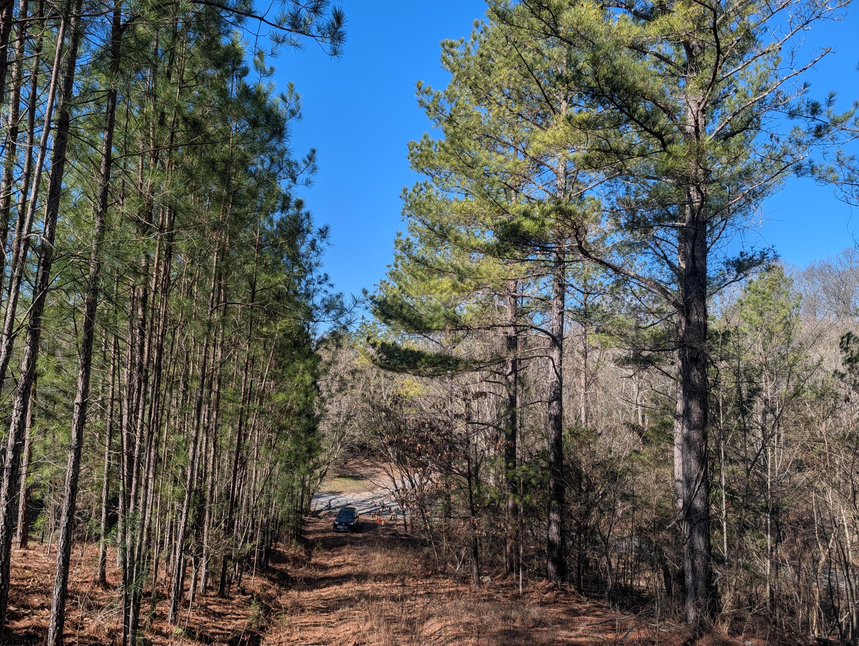 1902 Horner Hollow Road Birchwood, TN 37308 - Photo 4 of 50 PXL_20260118_173711823