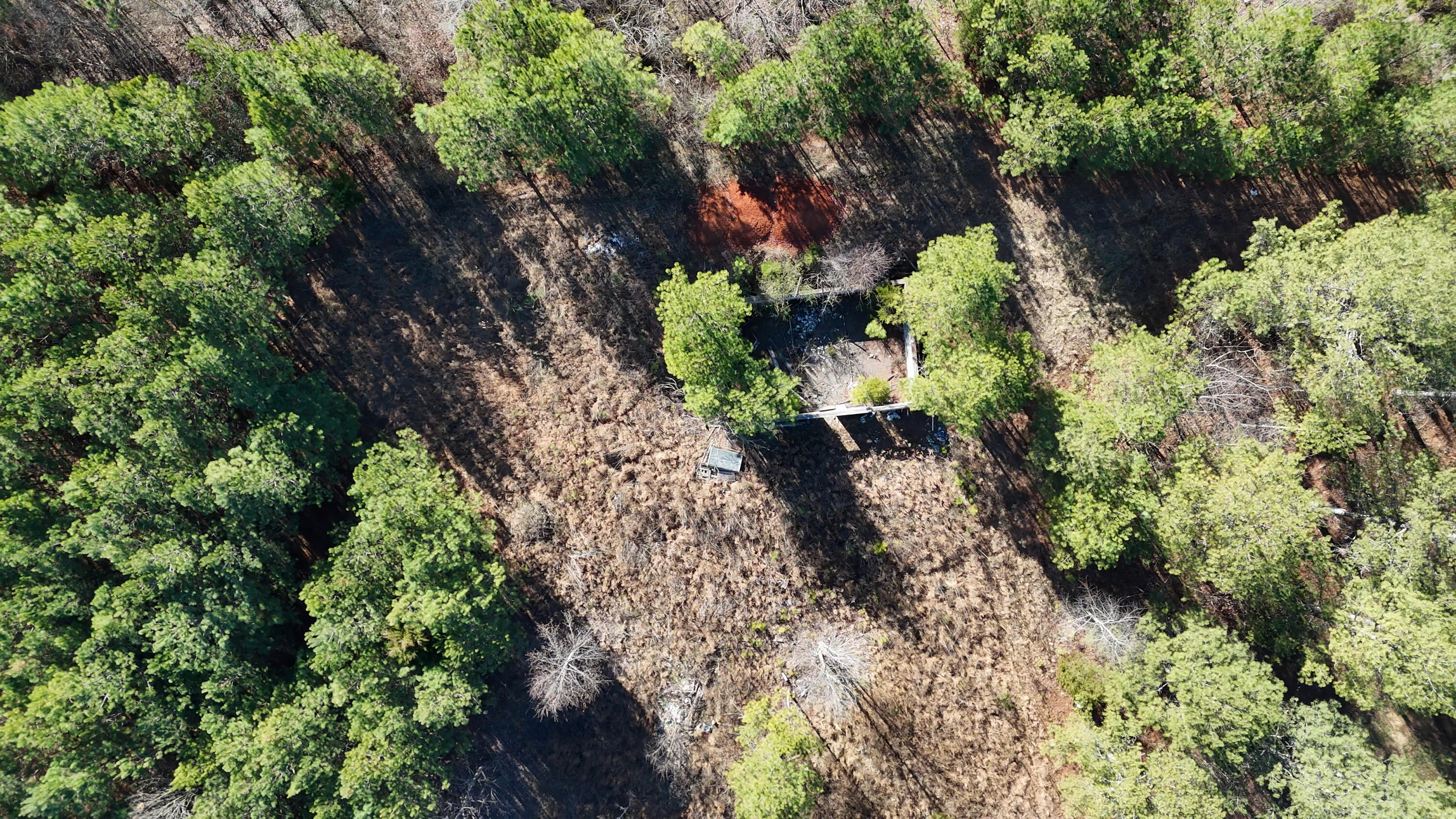 1902 Horner Hollow Road Birchwood, TN 37308 - Photo 41 of 50 Structure