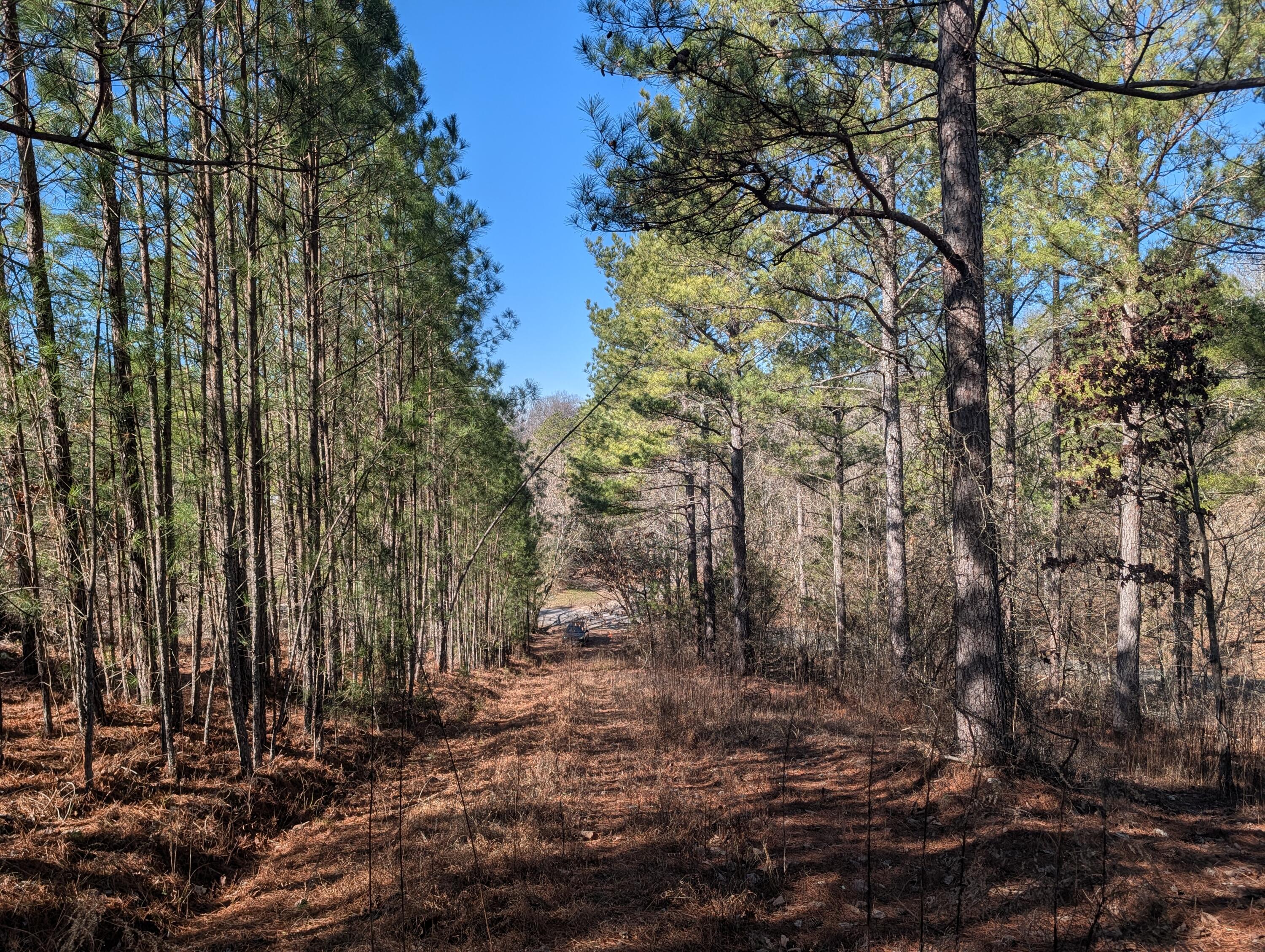 1902 Horner Hollow Road Birchwood, TN 37308 - Photo 6 of 50 PXL_20260118_173924153