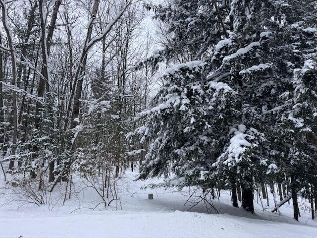 Frank Smith Road Chase, MI 49623 - Photo 2 of 4 IMG_1946