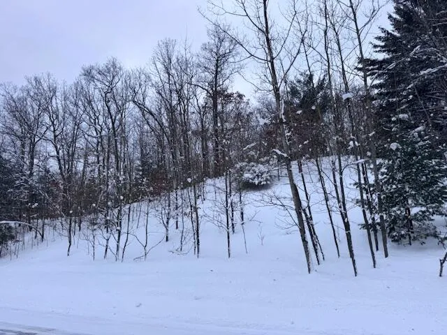 $28,900 | Frank Smith Road, Chase, MI 49623