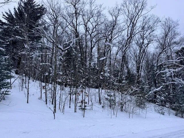 $28,900 | Frank Smith Road, Chase, MI 49623