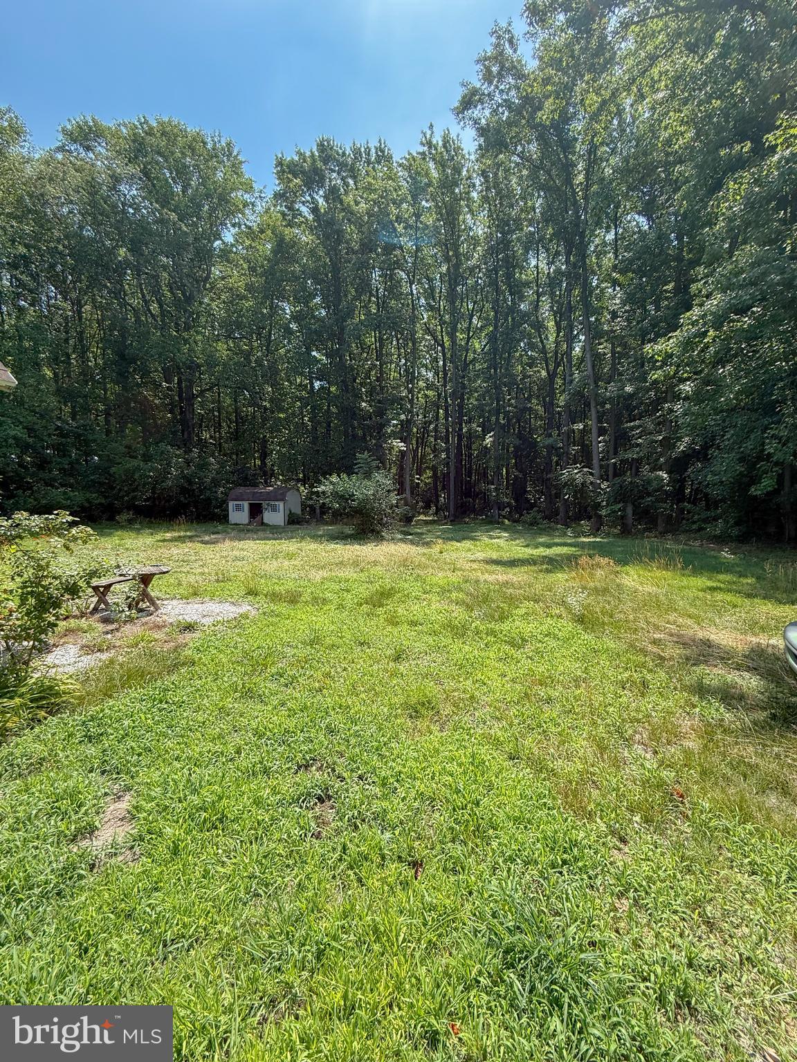 688 Carpenter Bridge Road Harrington, DE 19952 - Photo 3 of 3