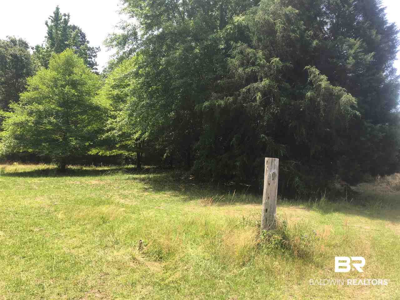 390 Fish Hook Road Brewton, AL 36426 - Photo 4 of 4