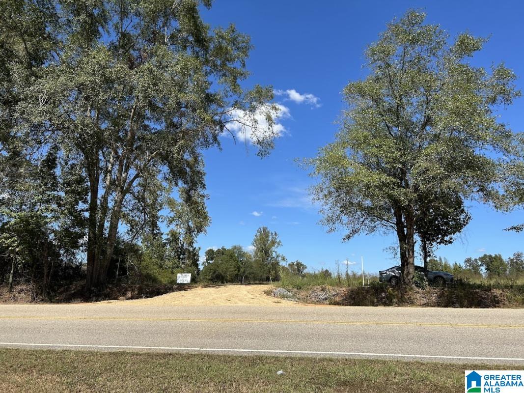 North Hagler Road Northport, AL 35475 - Photo 9 of 12
