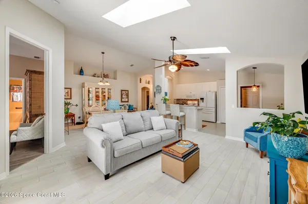 a view of a backyard with potted plants and a large tree