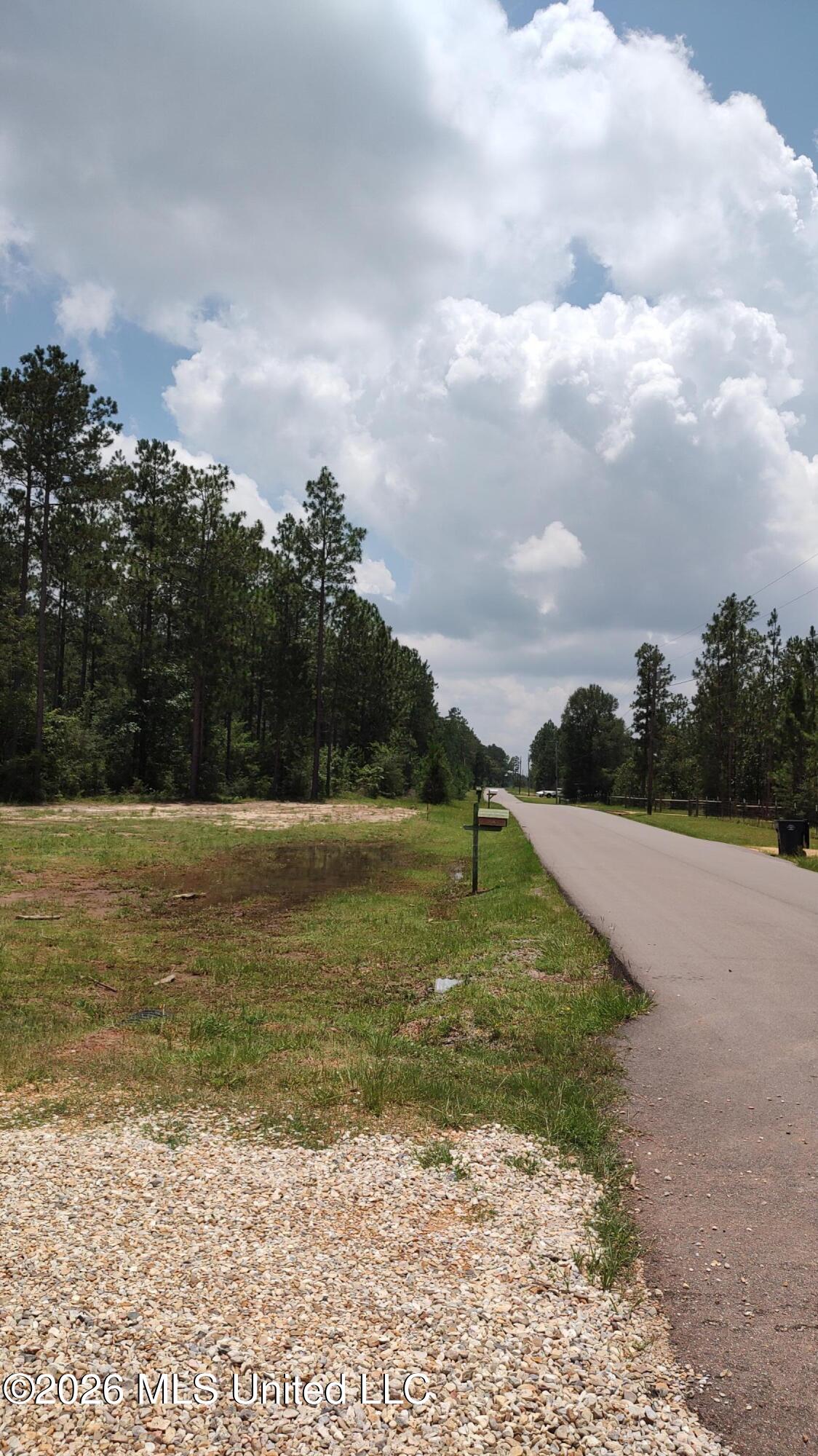 1090 Bilbo Road Lumberton, MS 39455 - Photo 18 of 19 Road view