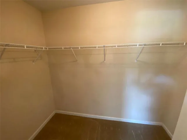 a view of a garden with lots of trees