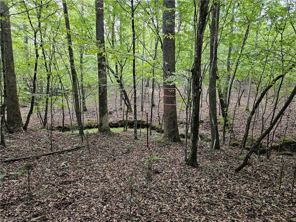0 Grogan Road, Unit TK 4 Stoneville, NC 27048 - Photo 7 of 19 Open woods
