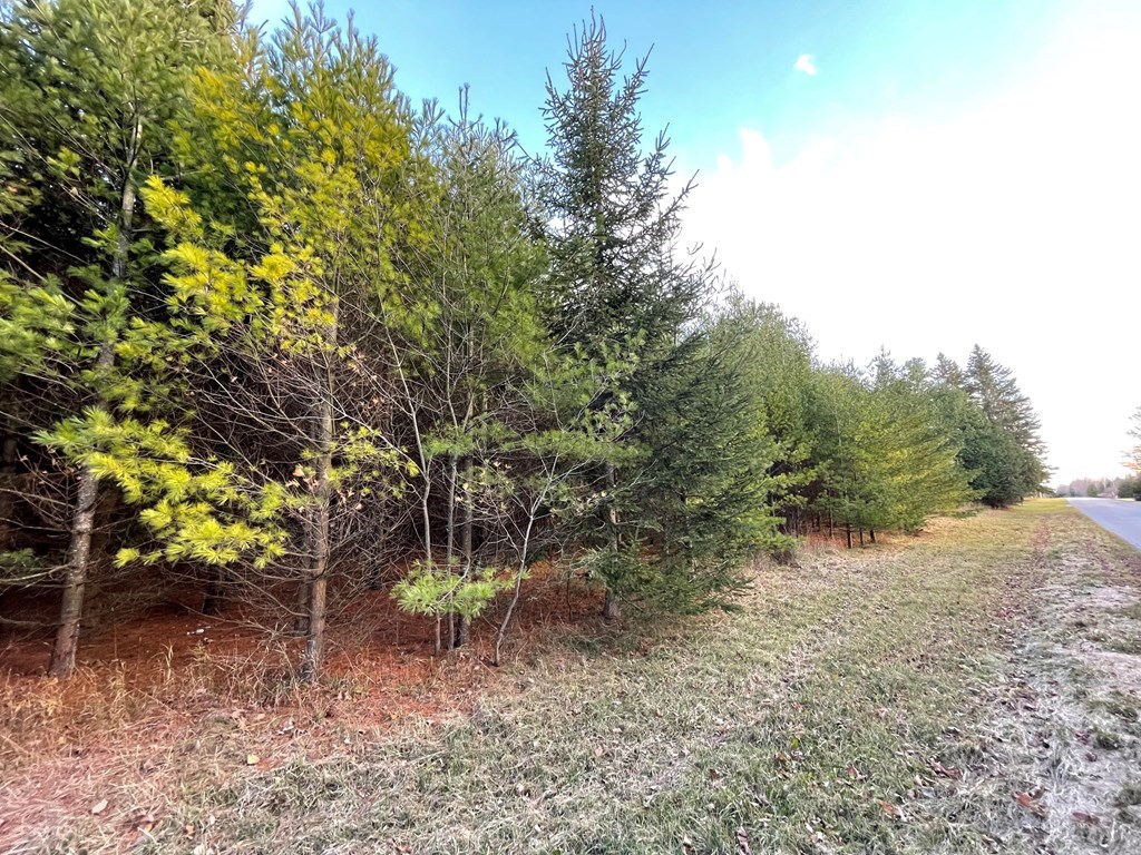 Tbd Birch Road Baileys Harbor, WI 54202 - Photo 2 of 8 Gallery Image 2