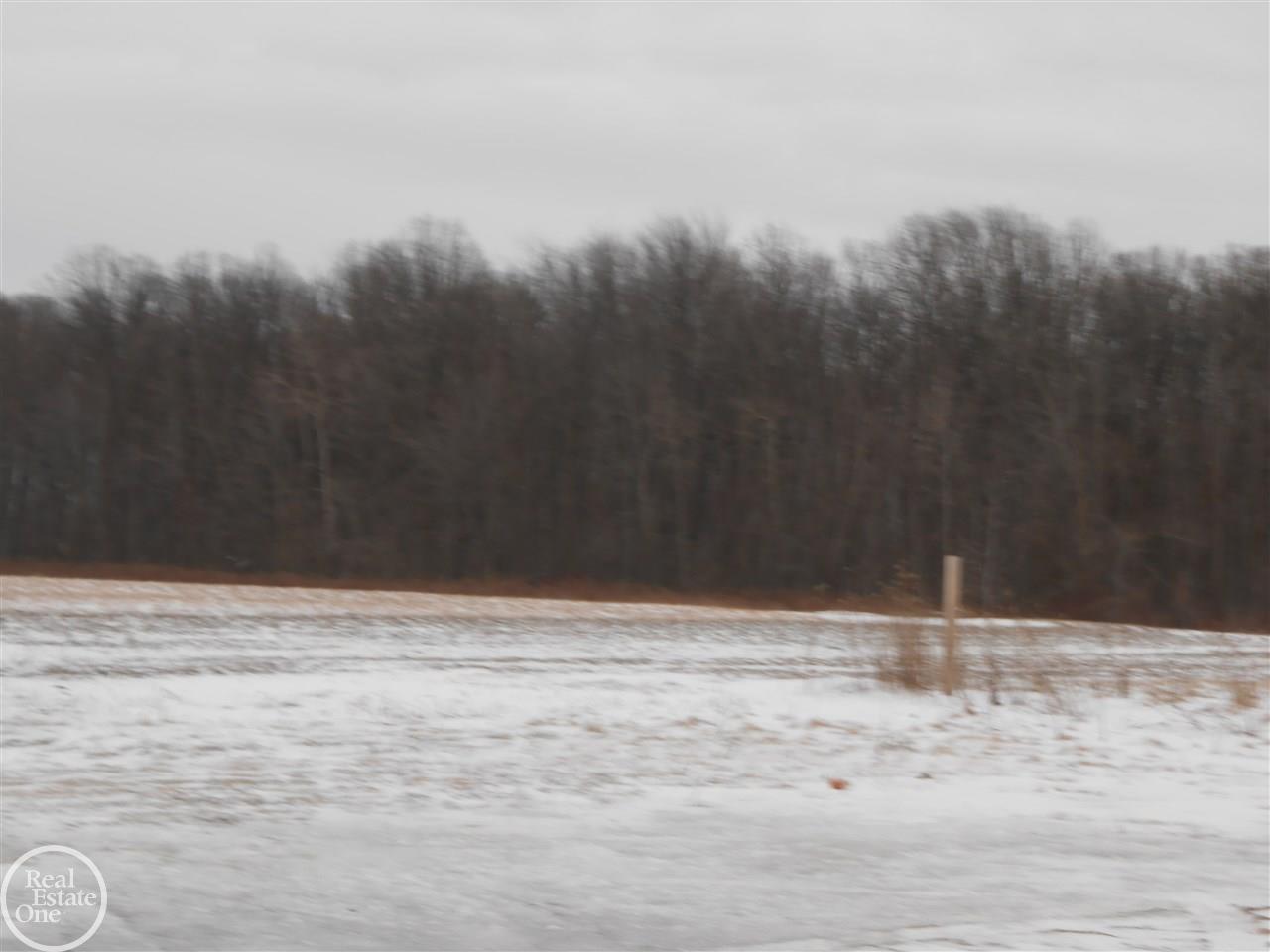 2848 Galbraith Line Road Yale, MI 48097 - Photo 2 of 33
