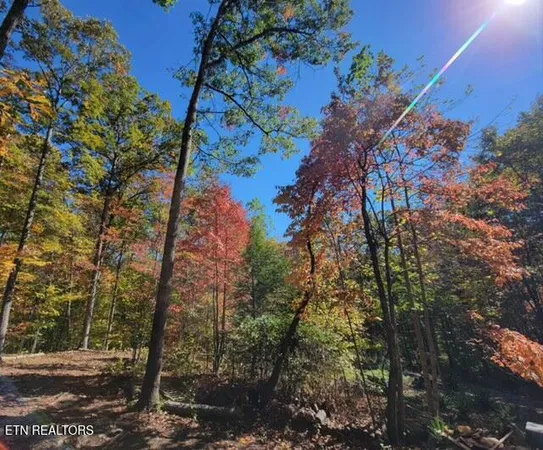 $499,000 | 184 Tecumseh Trail, Unit 184, Speedwell, TN 37870