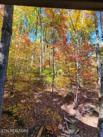 $499,000 | 184 Tecumseh Trail, Unit 184, Speedwell, TN 37870