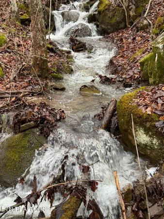 $499,000 | 184 Tecumseh Trail, Unit 184, Speedwell, TN 37870