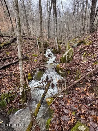 $499,000 | 184 Tecumseh Trail, Unit 184, Speedwell, TN 37870