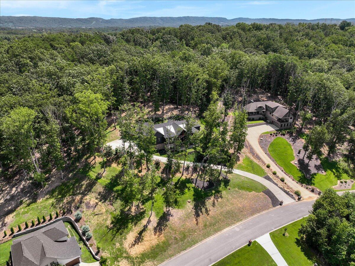 9934 Caseview Drive Harrison, TN 37341 - Photo 63 of 74 60-Pinnacle Tour - 9934 Caseview - 61