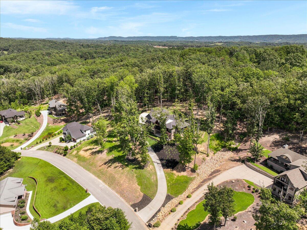 9934 Caseview Drive Harrison, TN 37341 - Photo 65 of 74 61-Pinnacle Tour - 9934 Caseview - 62