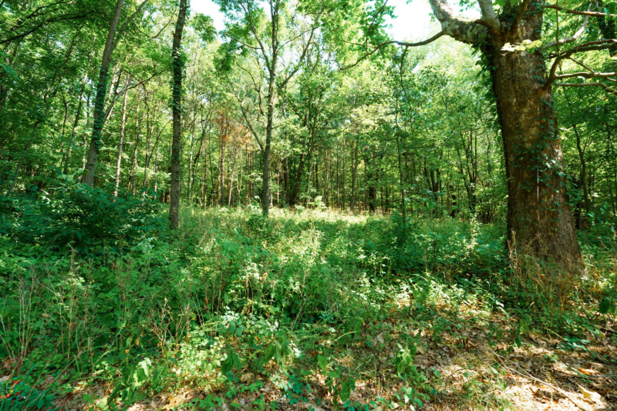 6910 North Sprinkle Road Kalamazoo, MI 49004 - Photo 32 of 35 Sprinkle_Rd_N_6910_Kalamazoo_49004-34