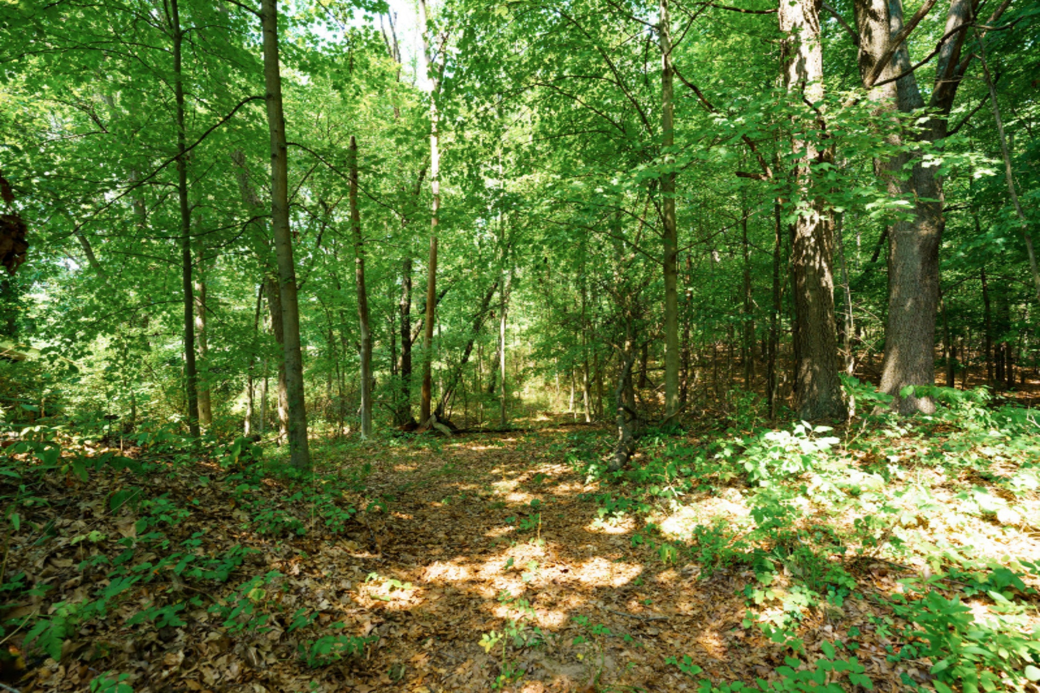 6910 North Sprinkle Road Kalamazoo, MI 49004 - Photo 33 of 35 Sprinkle_Rd_N_6910_Kalamazoo_49004-35