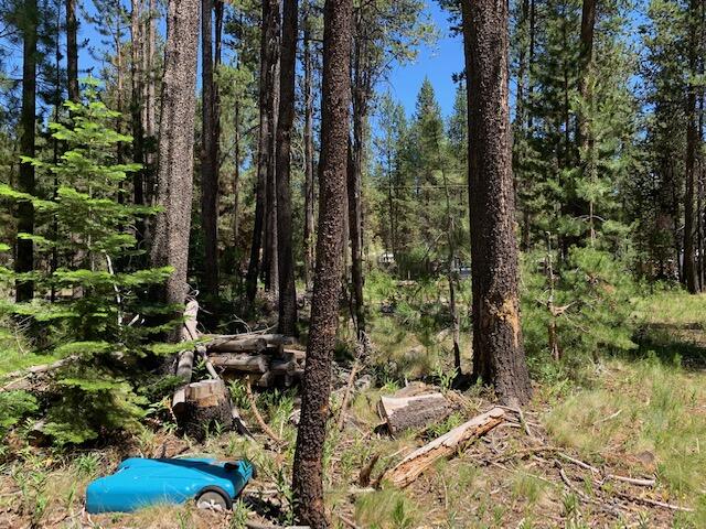 17020 Island Loop Way Bend, OR 97707 - Photo 7 of 11 Portable RV dump included