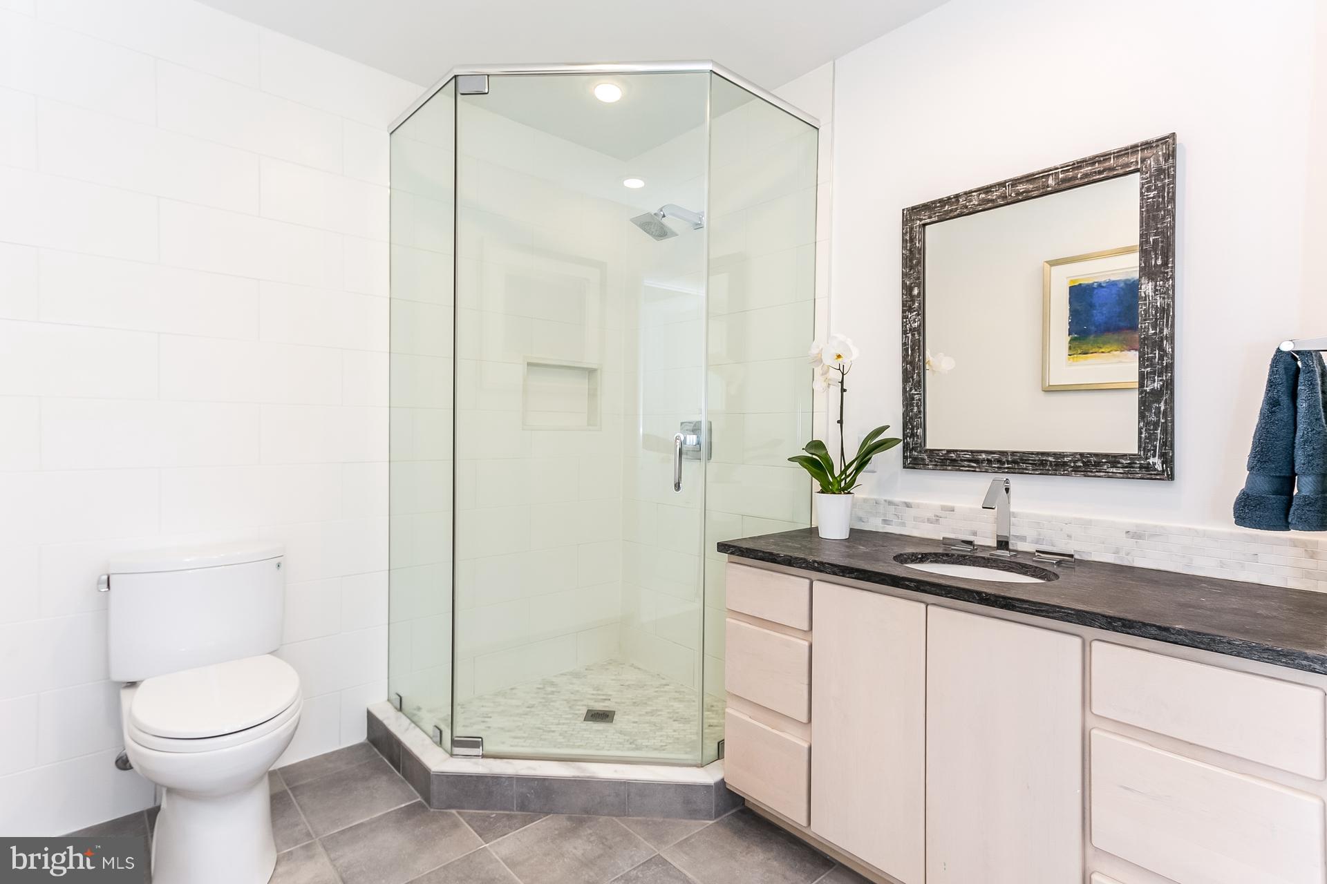 12379 Hunters Grove Road Manassas, VA 20112 - Photo 13 of 30 Bath (Master)