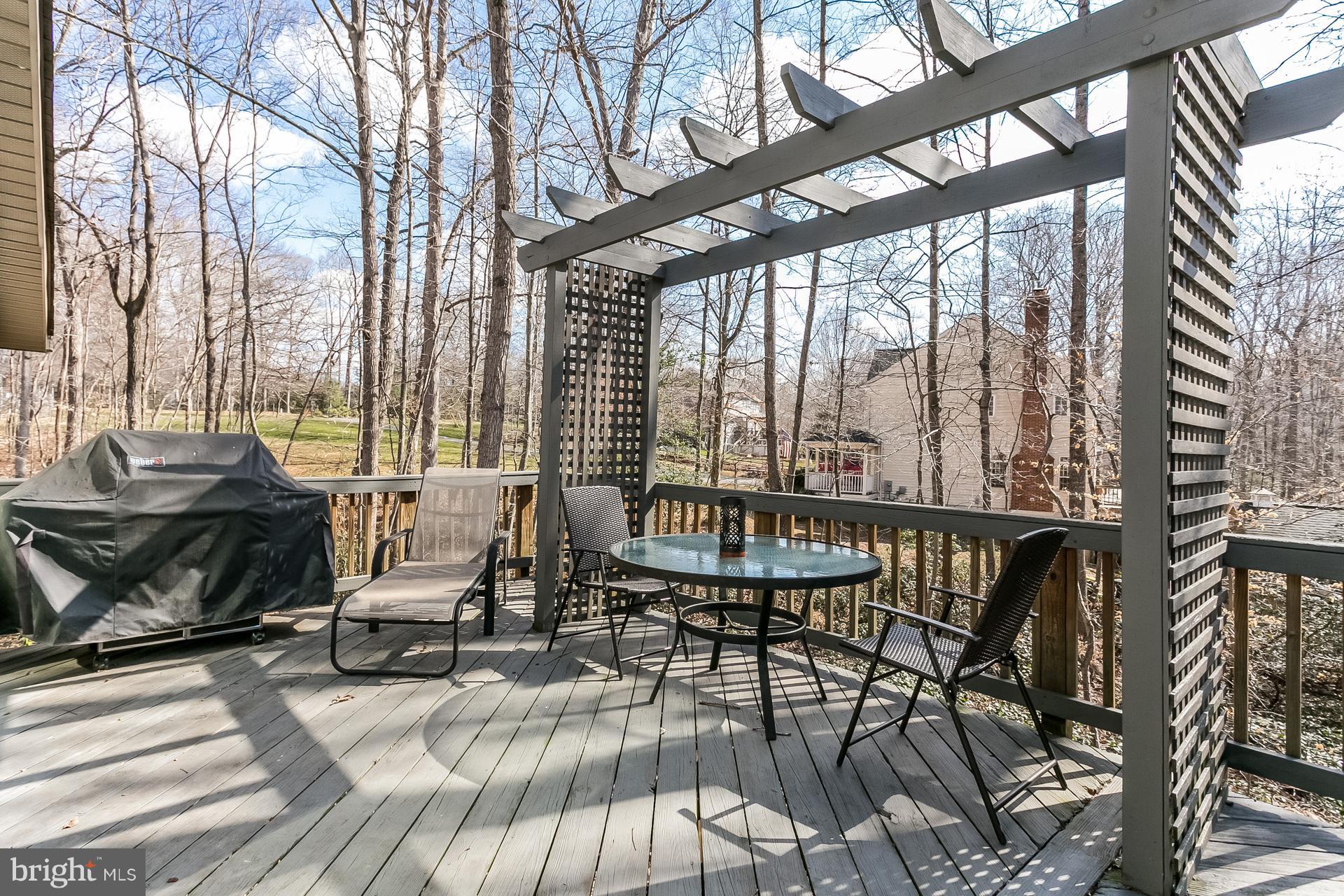 12379 Hunters Grove Road Manassas, VA 20112 - Photo 22 of 30 Deck