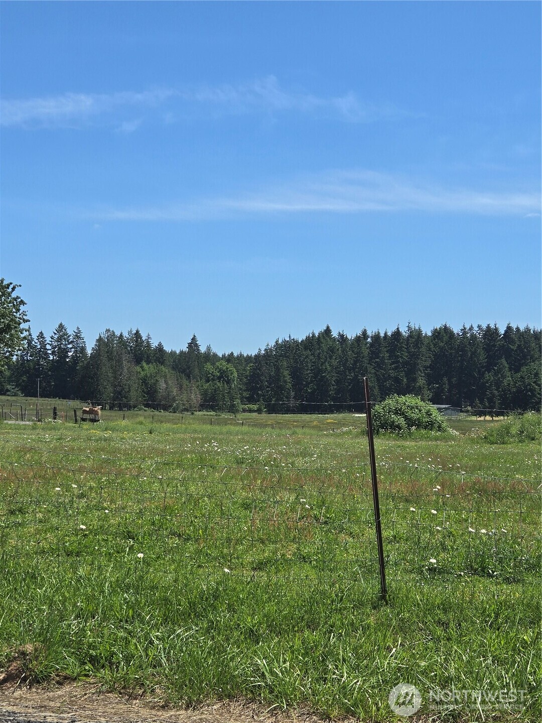 205 Nikula Road Winlock, WA 98596 - Photo 31 of 37