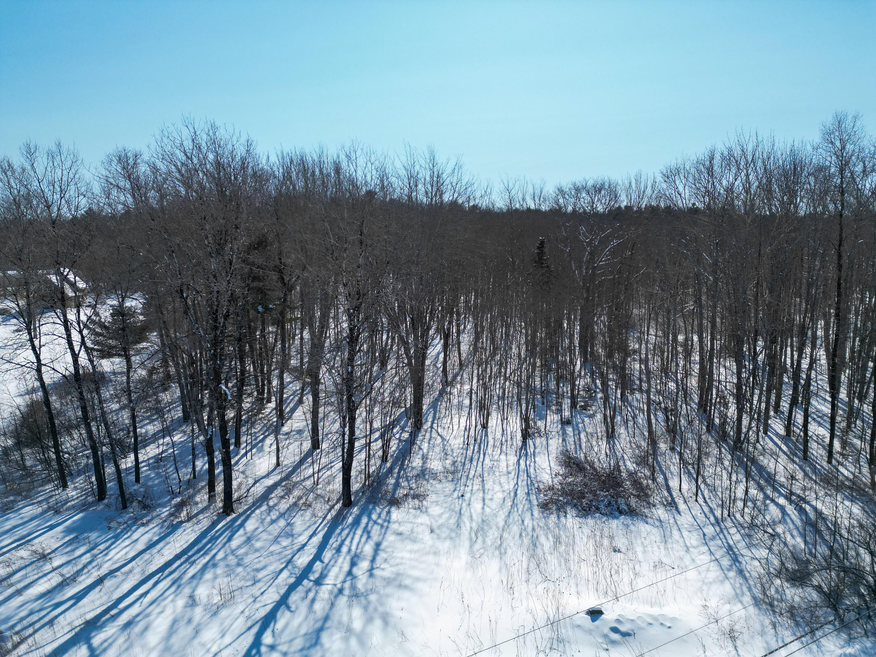 dji_fly_20260220_122444_670_177169828725