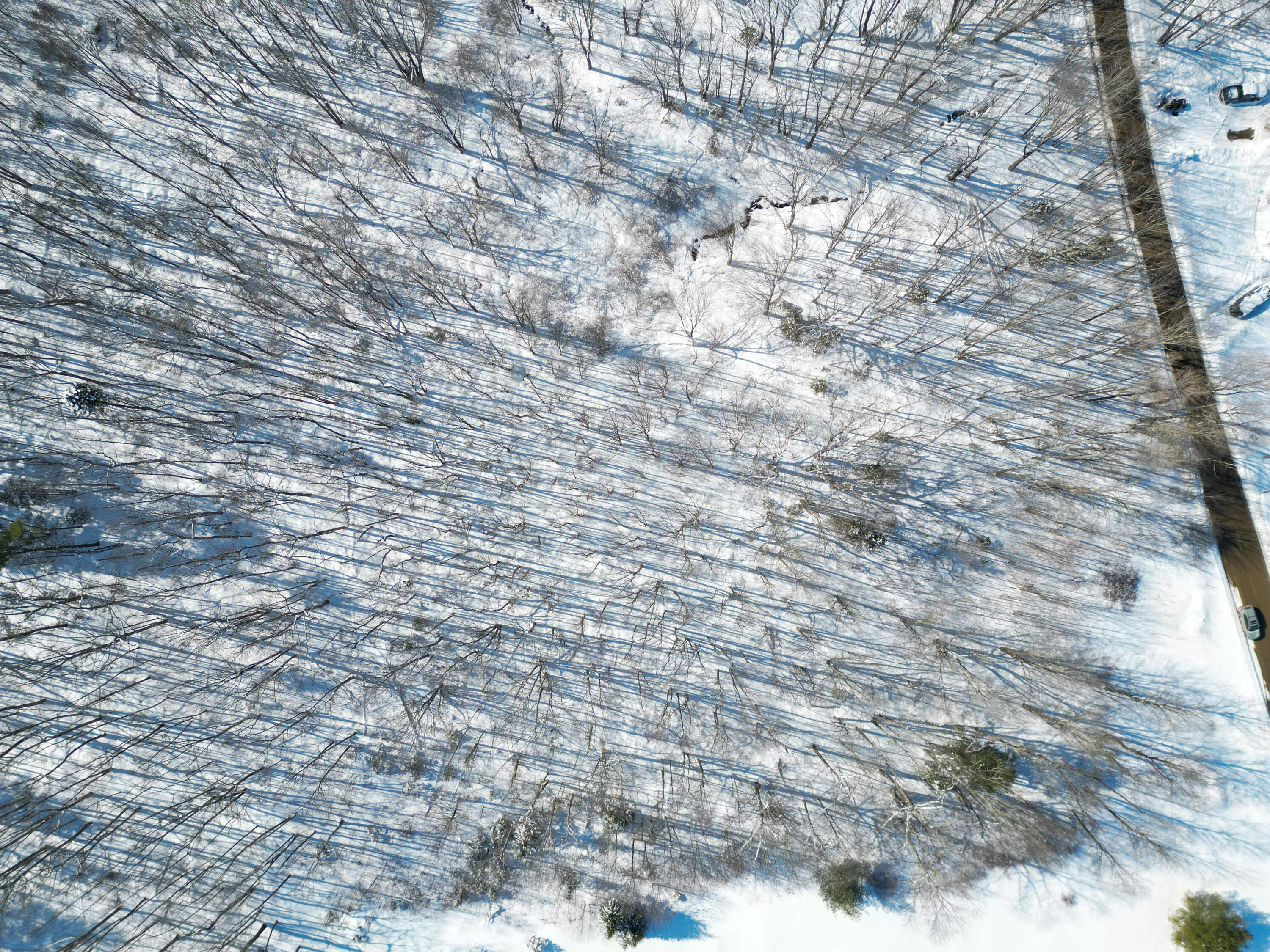 205 Ralph Wink Road Waldoboro, ME 04572 - Photo 4 of 5 dji_fly_20260220_122104_664_177169828879