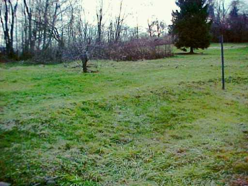 Yard/Garden. 